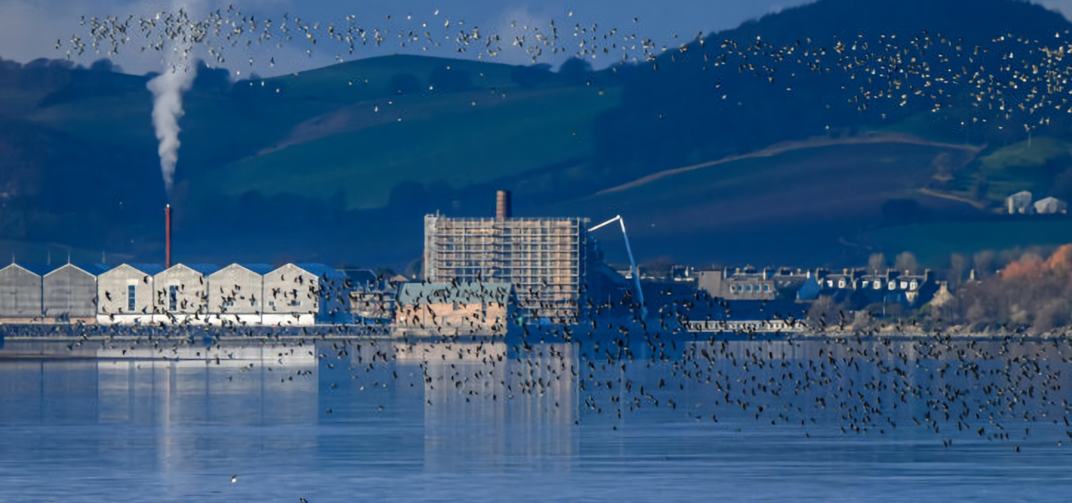 University of St. Andrews