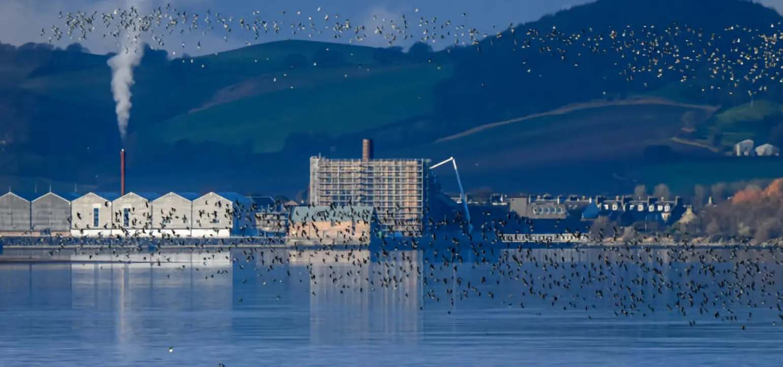 University of St. Andrews